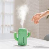 Air Humidifier Cactus